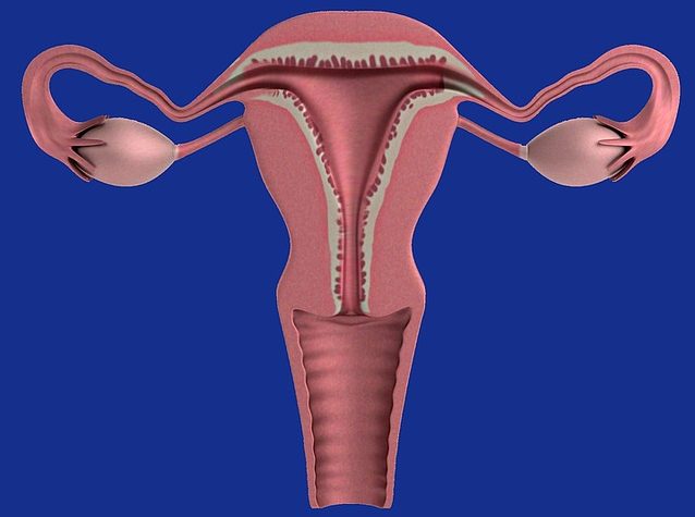 Endometriosi e infertilità